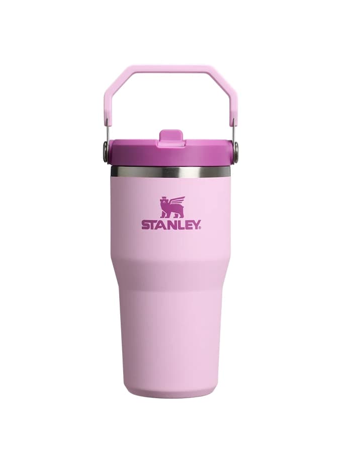 قمقه استنلی The IceFlow™ Flip Straw Tumbler | 20 OZ — تصویر ۹