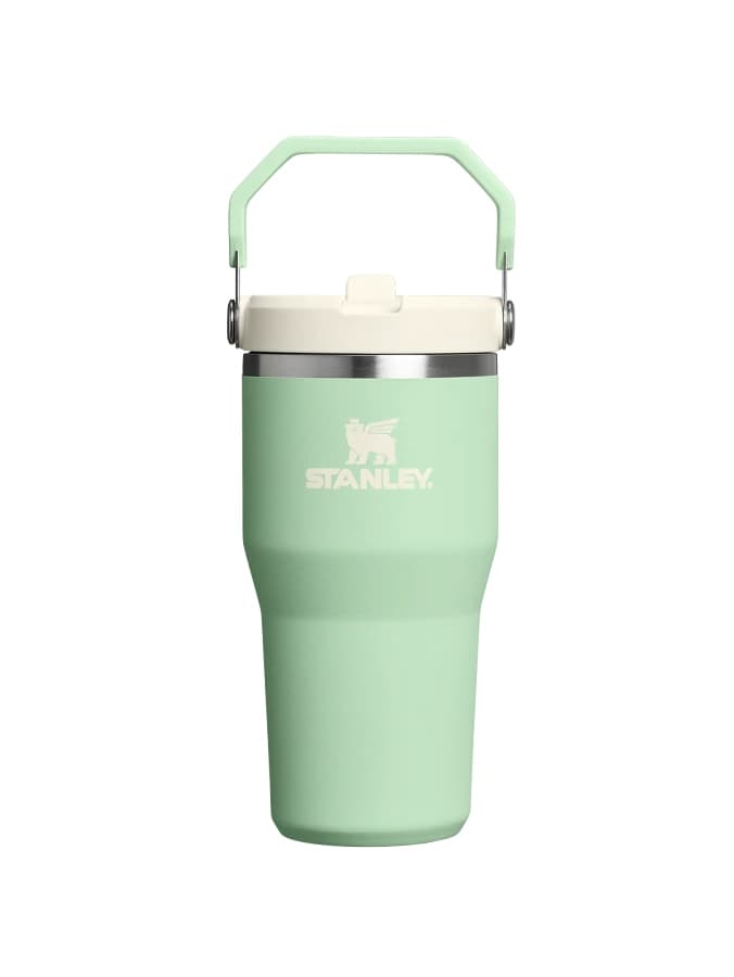 قمقه استنلی The IceFlow™ Flip Straw Tumbler | 20 OZ — تصویر ۶