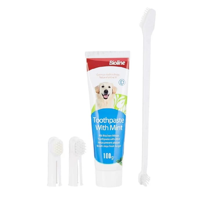 ست خمیر دندان و مسواک سگ بایولاین طعم نعنا وزن 100 گرم Bioline toothpaste with Mint — تصویر ۵
