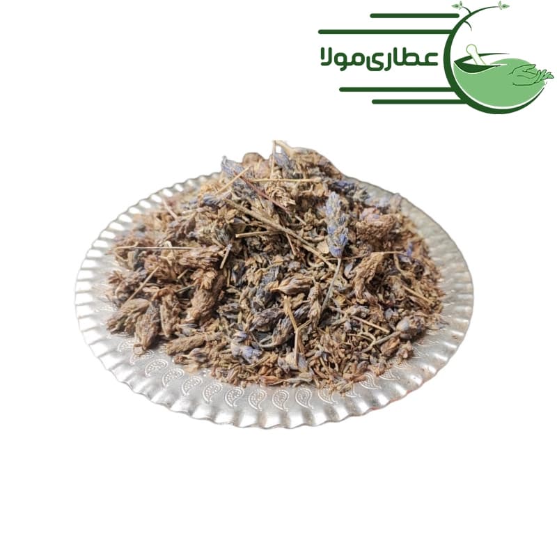 اسطوخودوس شامی — تصویر ۸