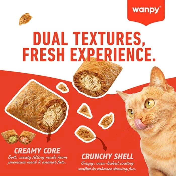تشویقی گربه ونپی طعم ماهی سالمون مدل کرانچی مغزدار وزن 60 گرم Wanpy Crunchy Pockets Salmon — تصویر ۶