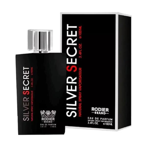 عطر ادکلن رودیر مدل سیلور سکرت مردانه 100ml (سیلور سنت) — تصویر ۴