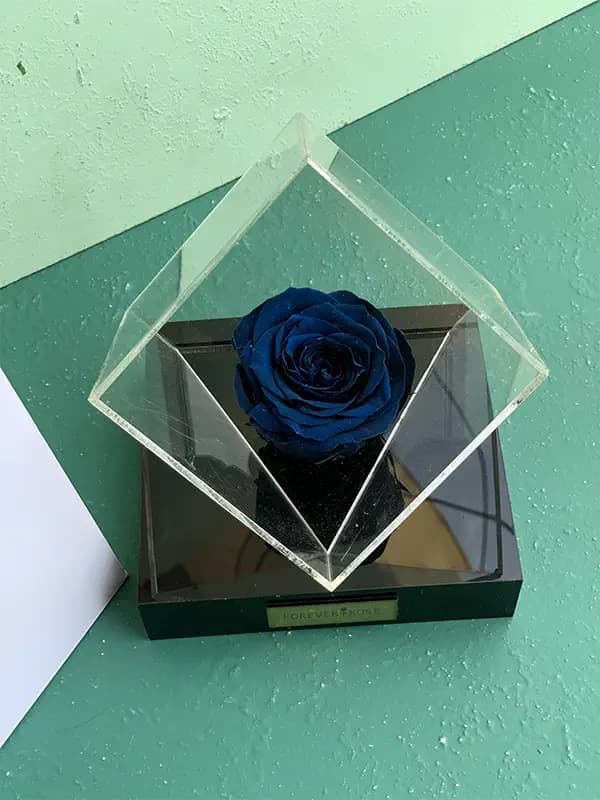 باکس چندوجهی رز جاودان آبی — تصویر ۲