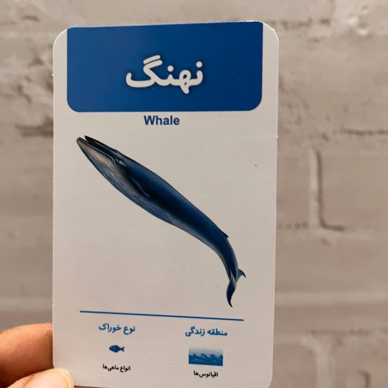 فلش کارت آشنایی با حیوانات مناسب کودک +۱ سال — تصویر ۹