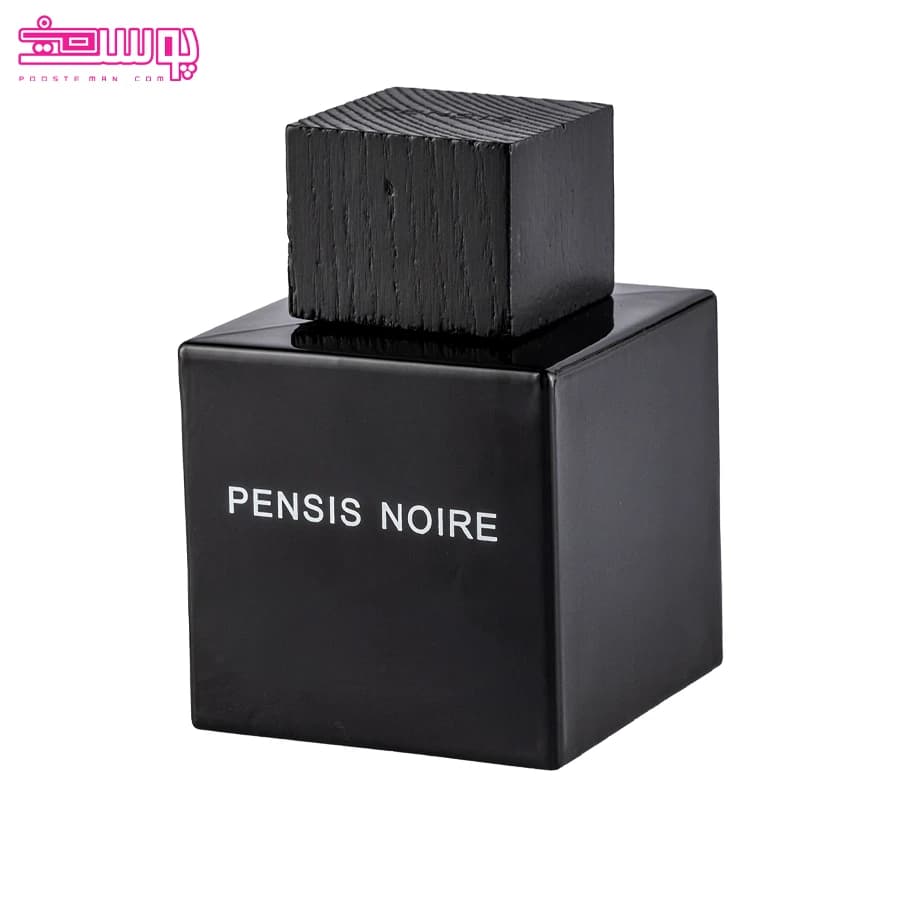 عطر ادکلن مردانه انکر نویر مشکی اصلی و اورجینال فرانسه Encre Noire 100ml — تصویر ۴