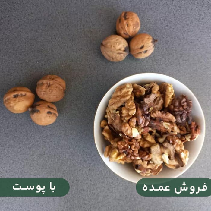 گردو با پوست 25 کیلویی — تصویر ۲