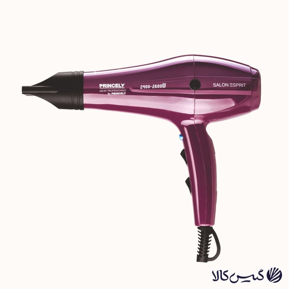 سشوار پرنسلی مدل PRINCELY PR250AT — تصویر ۱۰