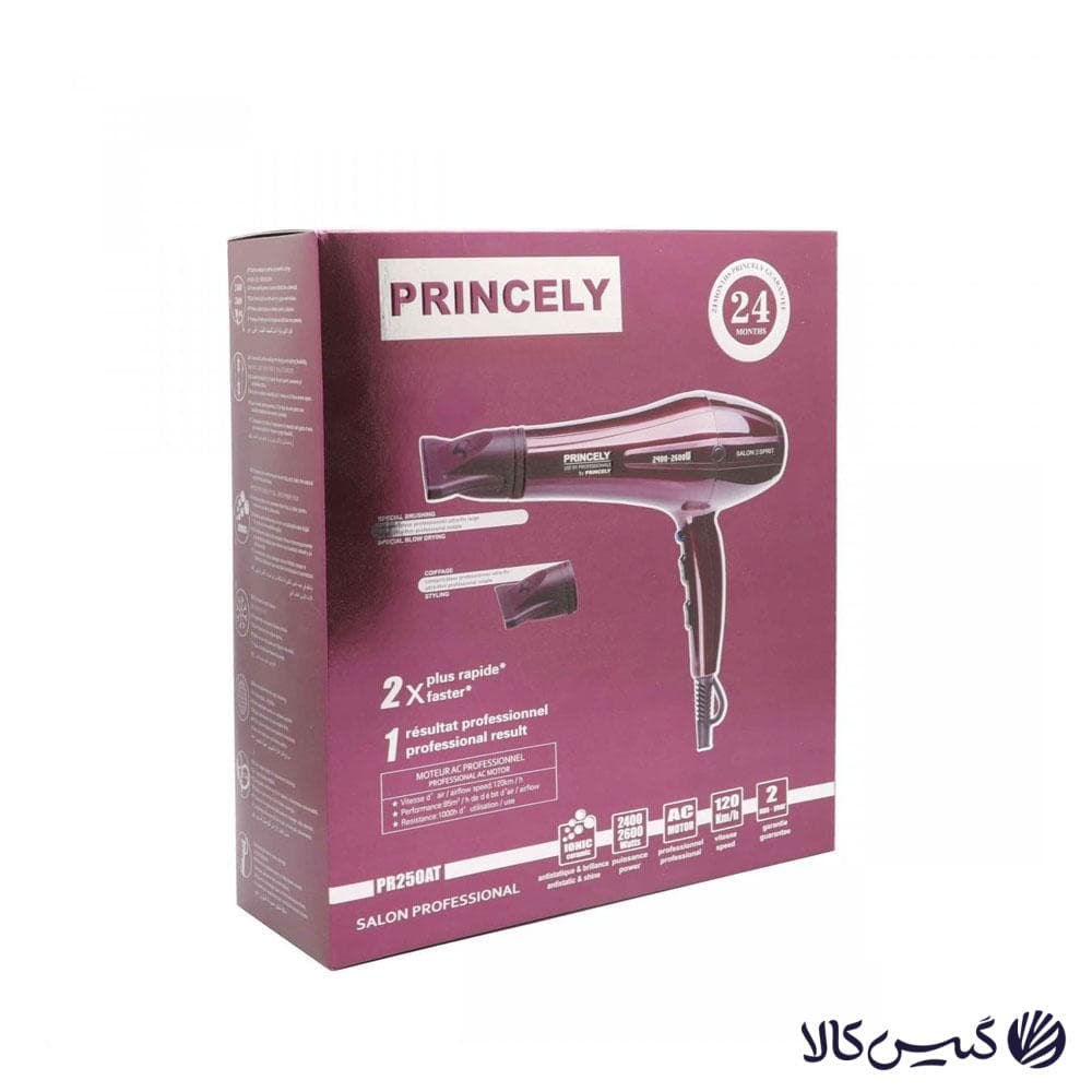 سشوار پرنسلی مدل PRINCELY PR250AT — تصویر ۱۲