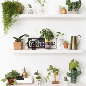 بکدراپ چوبی تک رو کد d03 — تصویر ۳