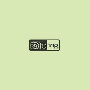 بکدراپ چوبی تک رو t019 — تصویر ۶