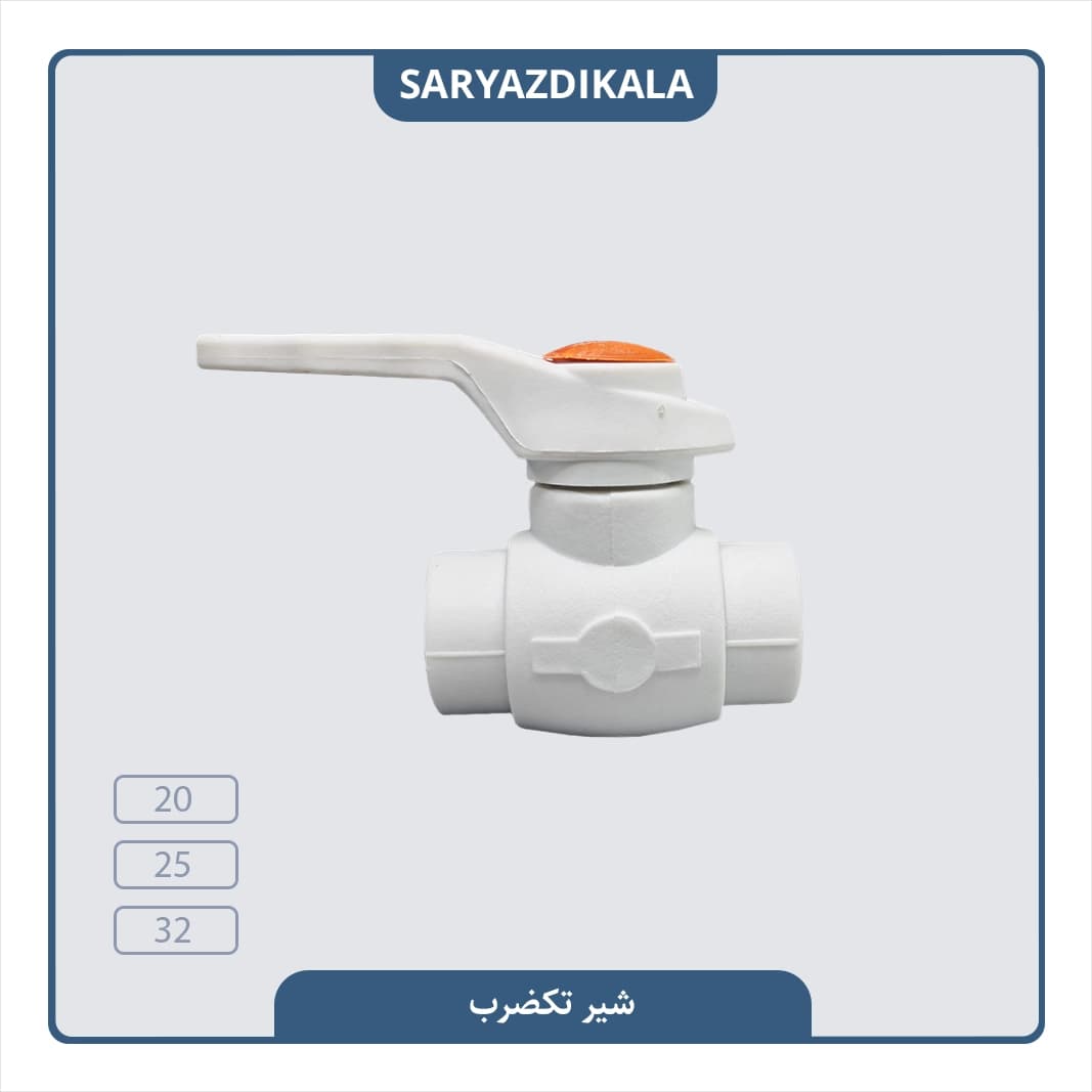 شیر تکضرب یزد بسپار — تصویر ۲