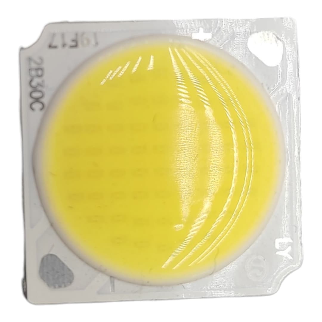 ال ای دی COB ریلی 30 وات 300 میلی آمپر سفید مهتابی 1919 برند LY