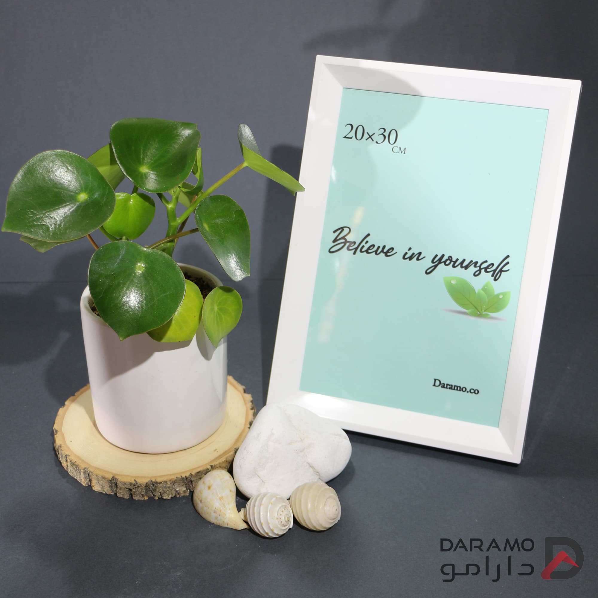 قاب عکس شیبدار 20*30 — تصویر ۵