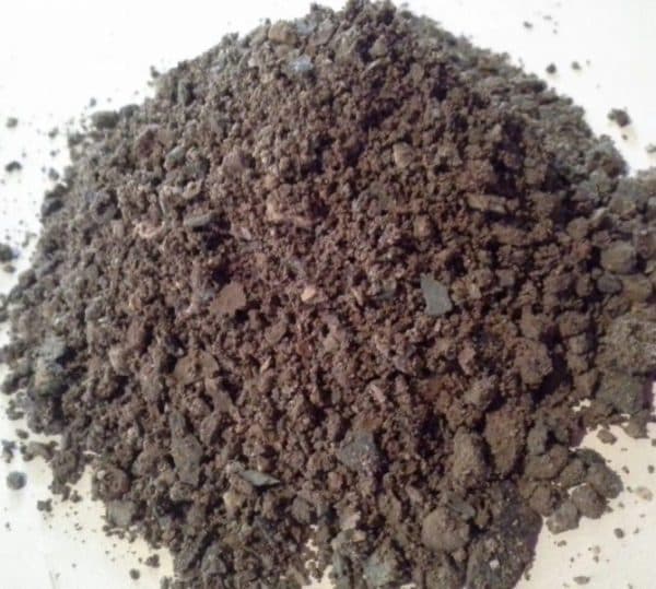 ماسه ملاتی خاوری
