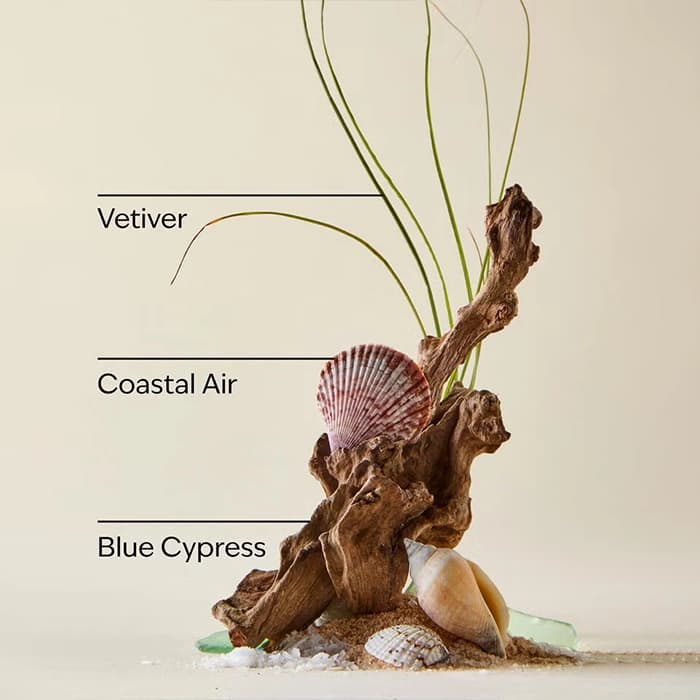 ژل شست و شو 3 در 1 بث اند بادی Ocean — تصویر ۷