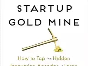 دانلود کتاب The Startup Gold Mine: How to Tap the Hidden Innovation Agendas of Large Companies to Fund and Grow Your Business – معدن طلای استارتاپی: چگونه از برنامه های نوآوری پنهان شرکت های بزرگ برای
