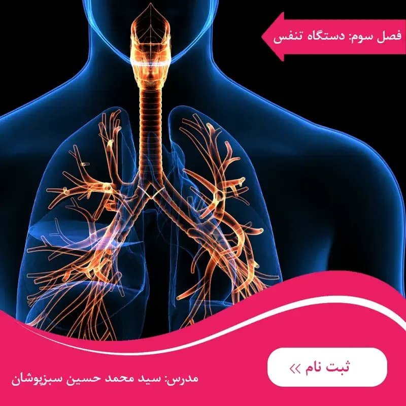 دوره زیست دهم فصل سوم : تبادلات گازی