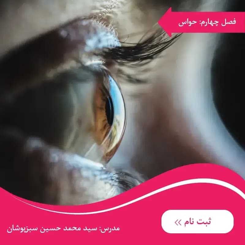 دوره برین بی فصل چهارم: دروازههای قلعه