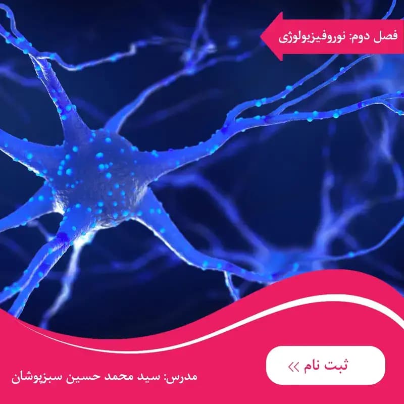 دوره برین بی فصل دوم: آشنایی با پادشاه