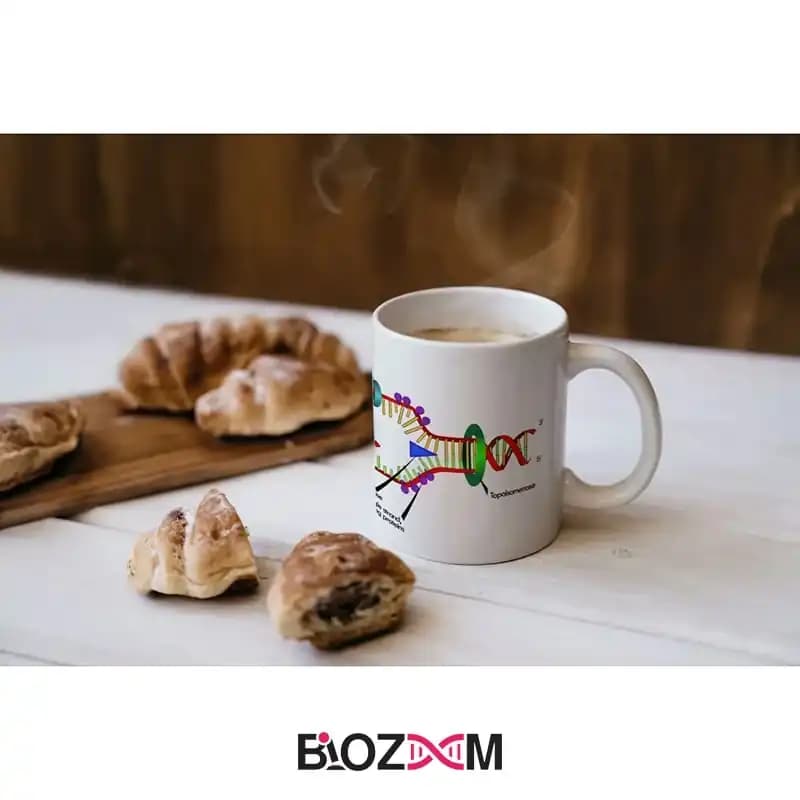 ماگ ژنتیک طرح همانندسازی DNA – کد 101 — تصویر ۸
