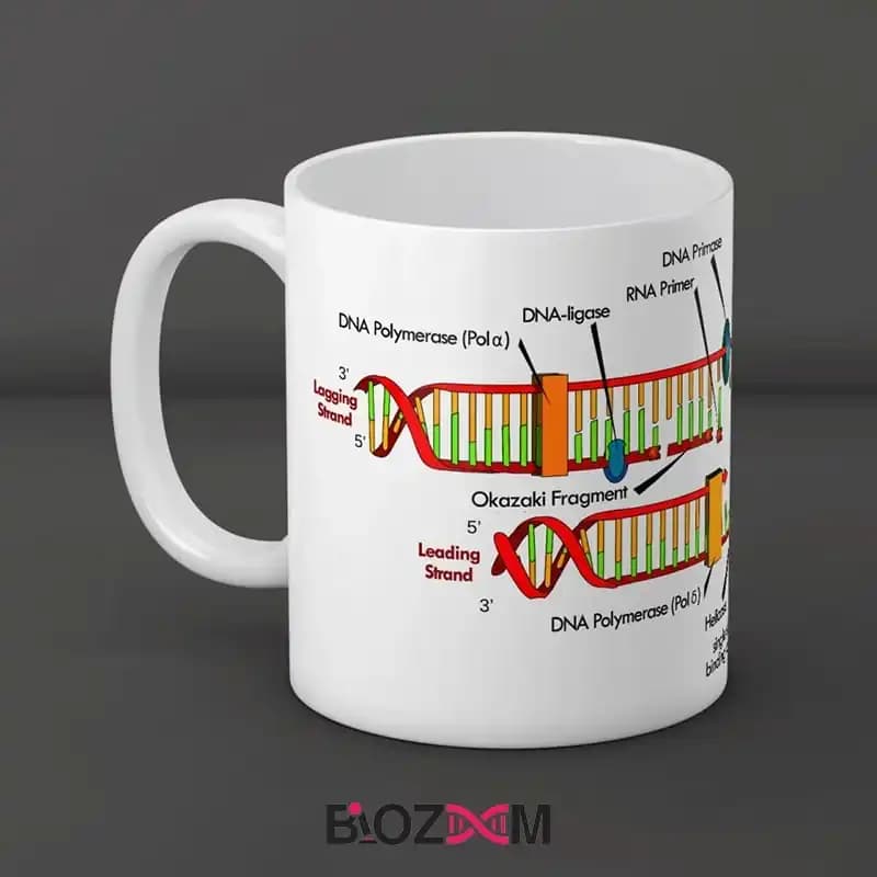 ماگ ژنتیک طرح همانندسازی DNA – کد 101 — تصویر ۲