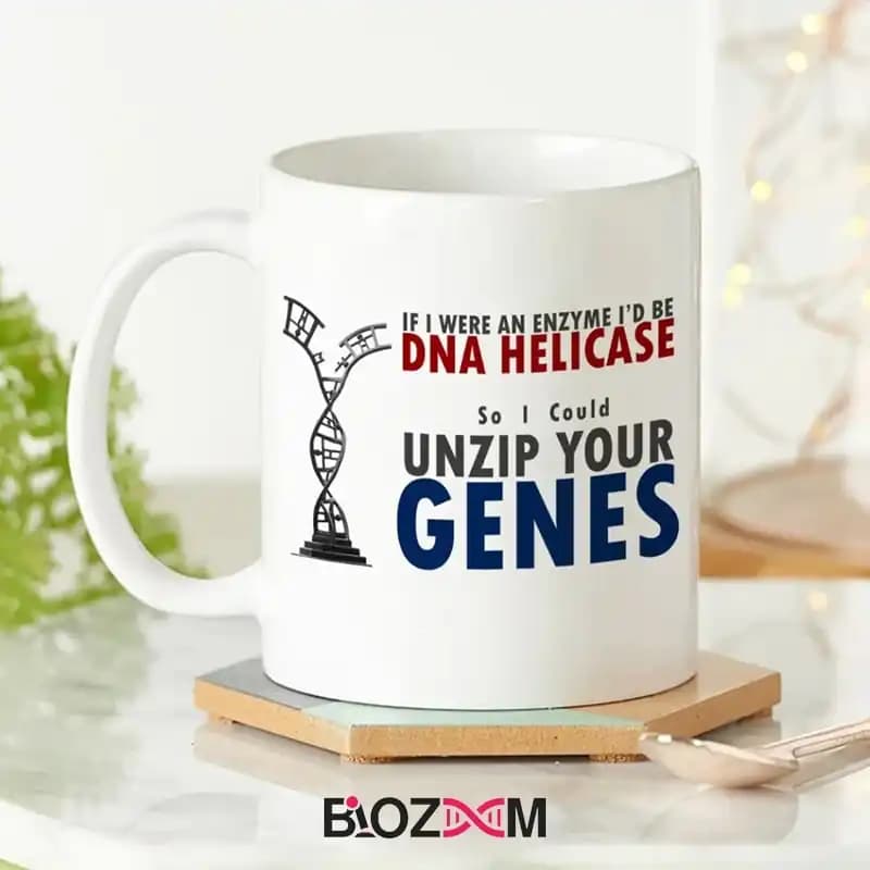 ماگ ژنتیک طرح همانندسازی DNA – کد 102