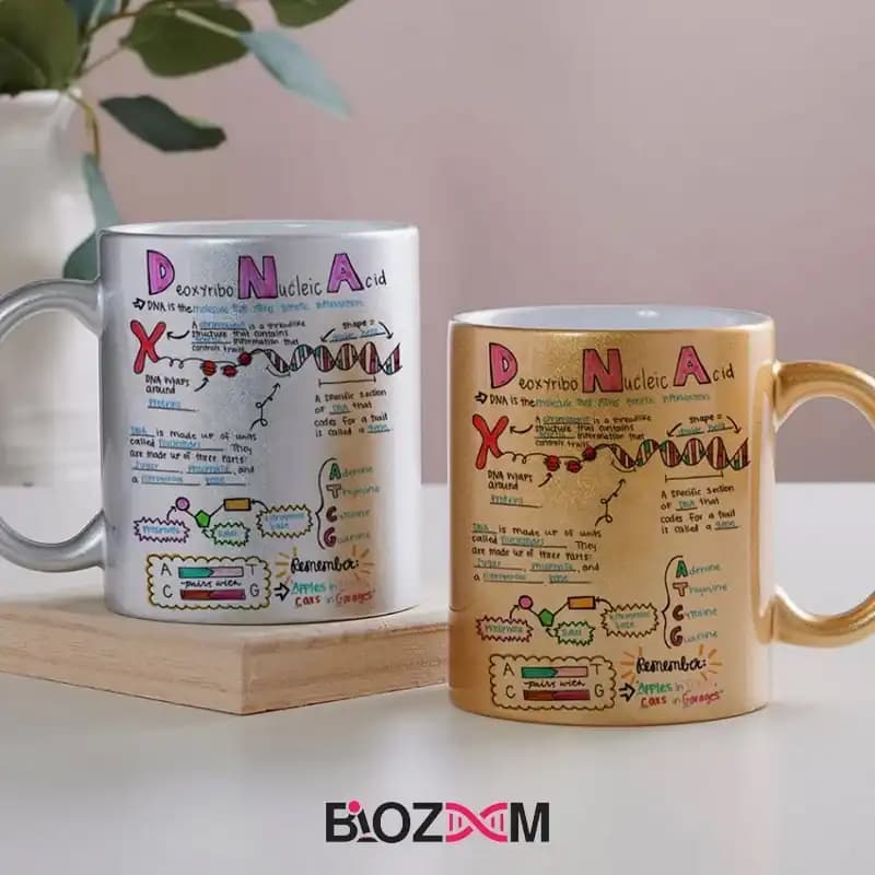 ماگ ژنتیک طرح DNA – کد 120 — تصویر ۶