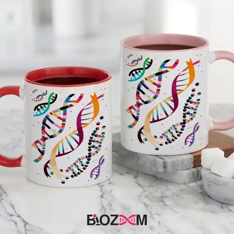 ماگ ژنتیک طرح DNA – کد 129 — تصویر ۷