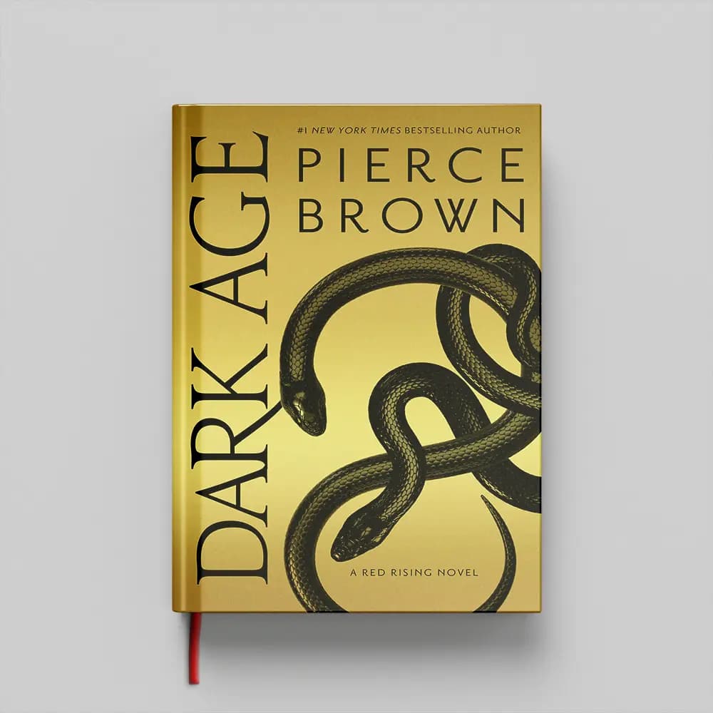 کتاب Dark Age جلد سخت (HARDCOVER) — تصویر ۲