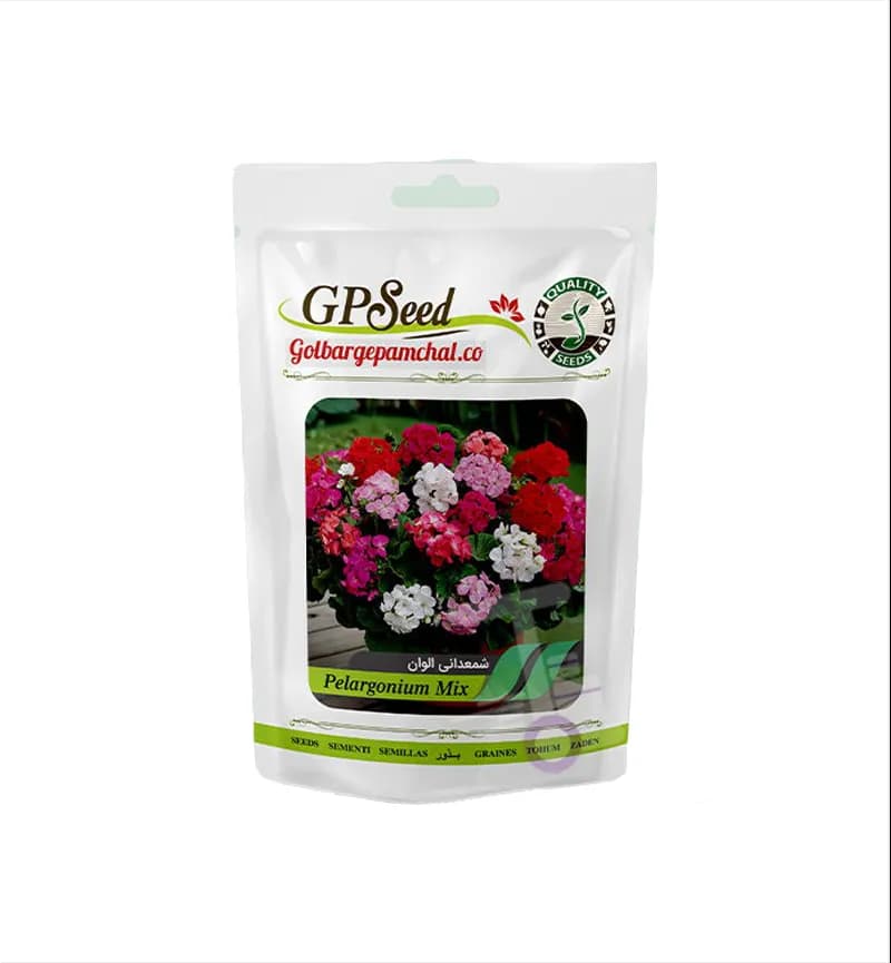 بذر شمعدانی الوان گلبرگ پامچال GP Seed