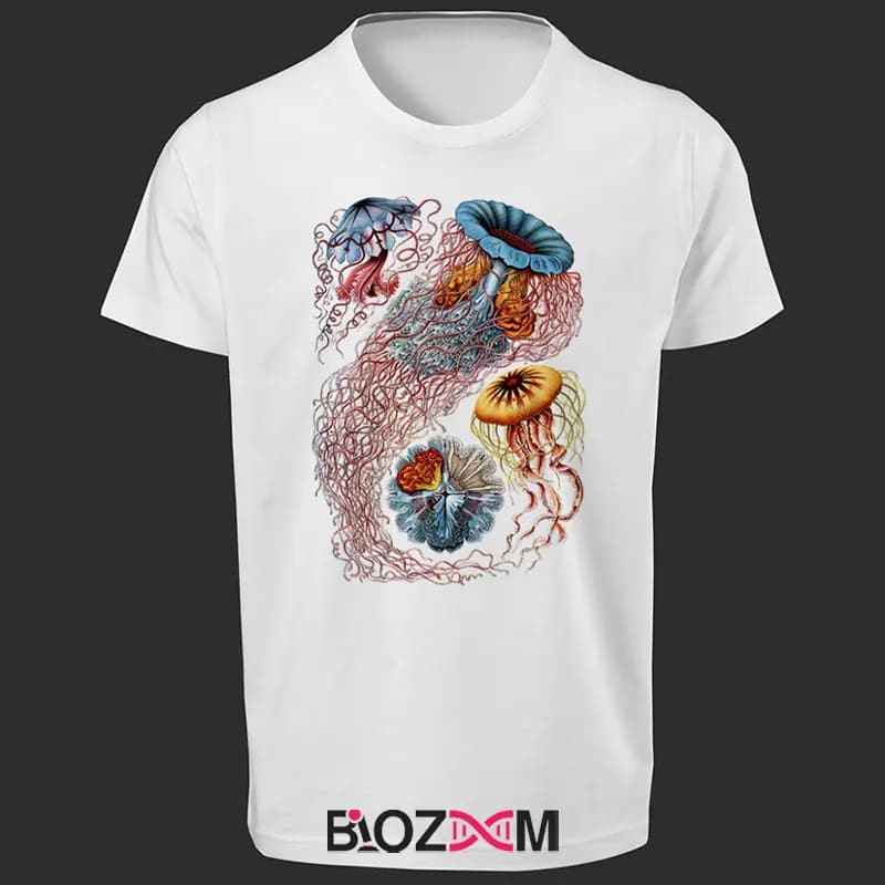 تیشرت طرح Marine Biology -1 زیست شناسی – کد 139 — تصویر ۵