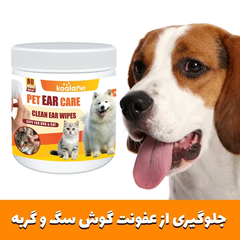دستمال مرطوب سگ و گربه مخصوص گوش کوالاپت — تصویر ۳
