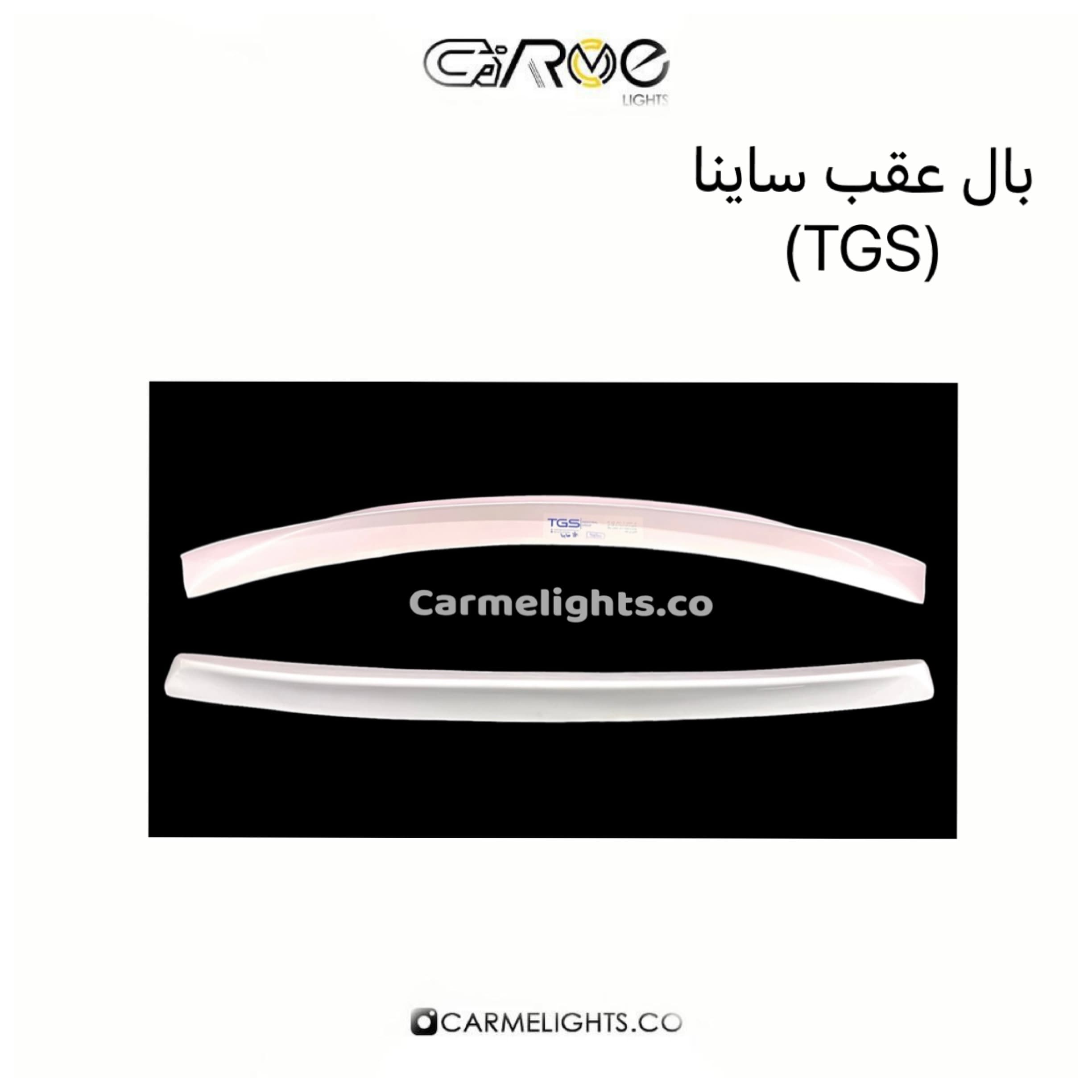 بال عقب ساینا (TGS) — تصویر ۲