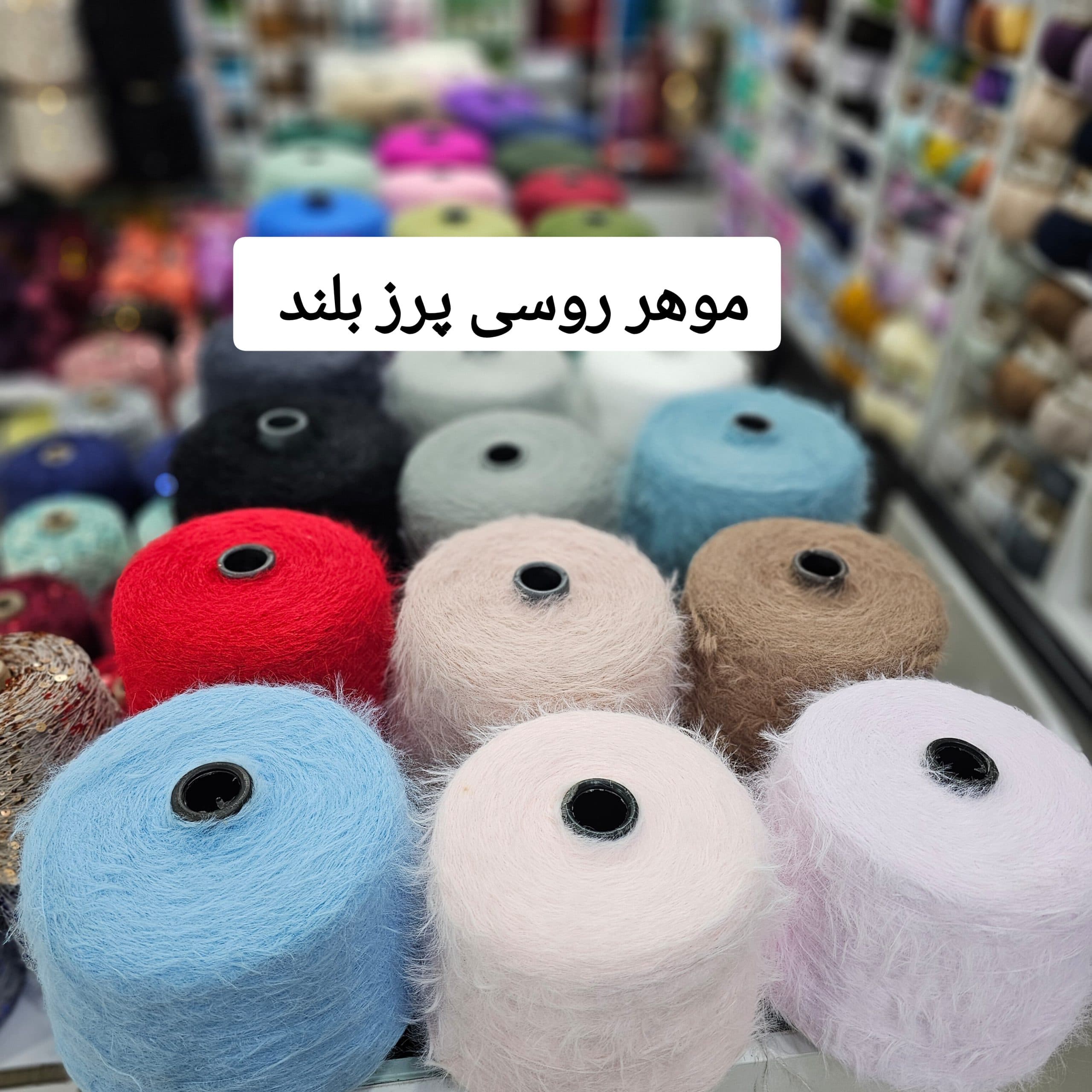 موهر روسی پرز بلند — تصویر ۹
