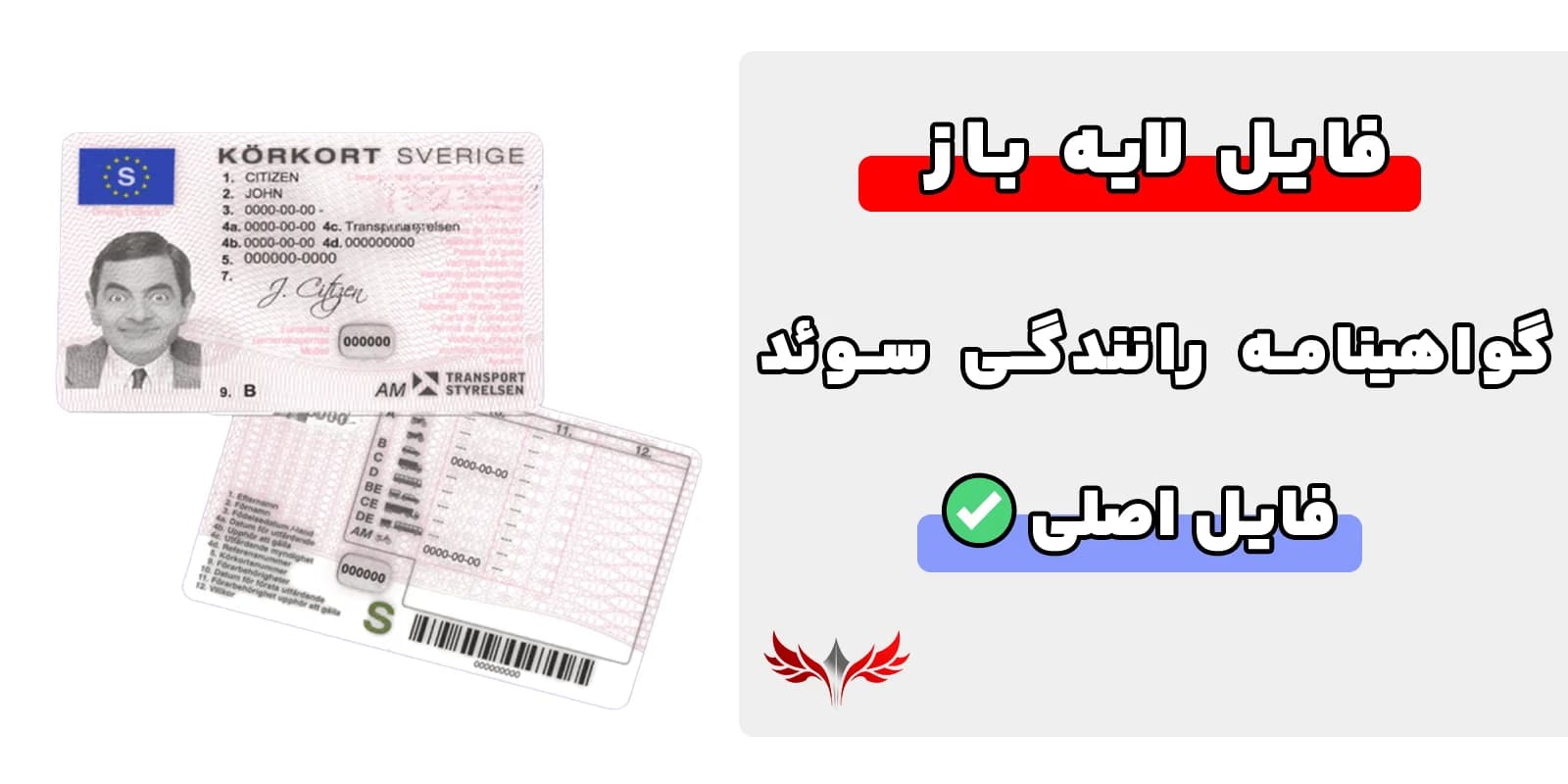 گواهینامه رانندگی سوئد لایه باز