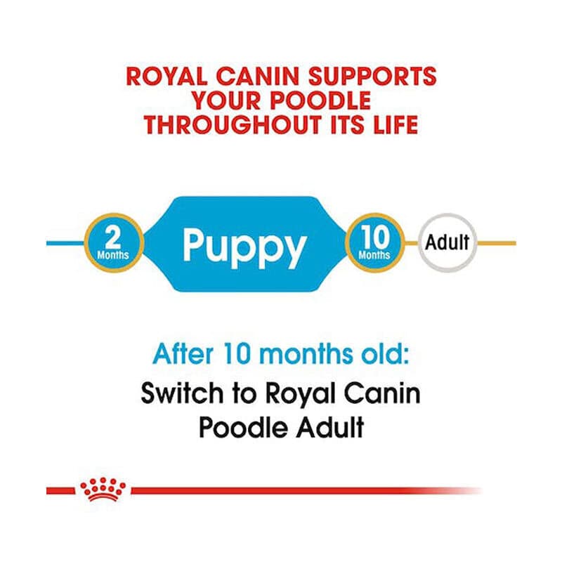 غذای خشک توله سگ نژاد پودل رویال کنین Royal Canin Puppy Poodle وزن 3 کیلوگرم — تصویر ۳