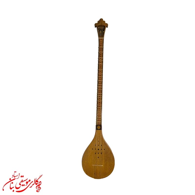 سه تار کریمی سرپنجه طاووسی