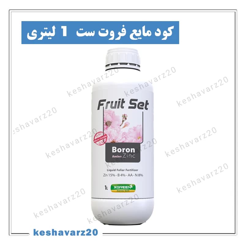 کود مایع فروت ست ایکس گرین ۱ لیتری؛ روی ۱۵٪ و بور ۳٪ برای گلدهی و تشکیل میوه (Fruit Set XGreen)