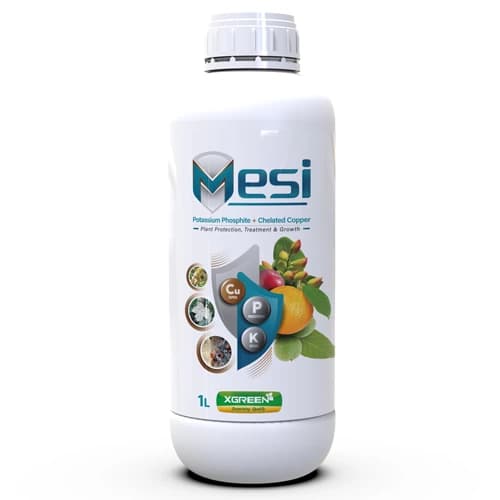 کود مایع مس کلاته و پتاسیم مسی ۱ لیتری (Mesi XGreen) — تصویر ۲