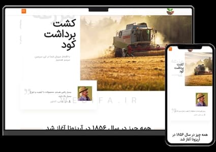 طراحی سایت فروشگاهی محصولات ارگانیک و غذایی کشاورزی – طرح شماره ۴۱۱۱