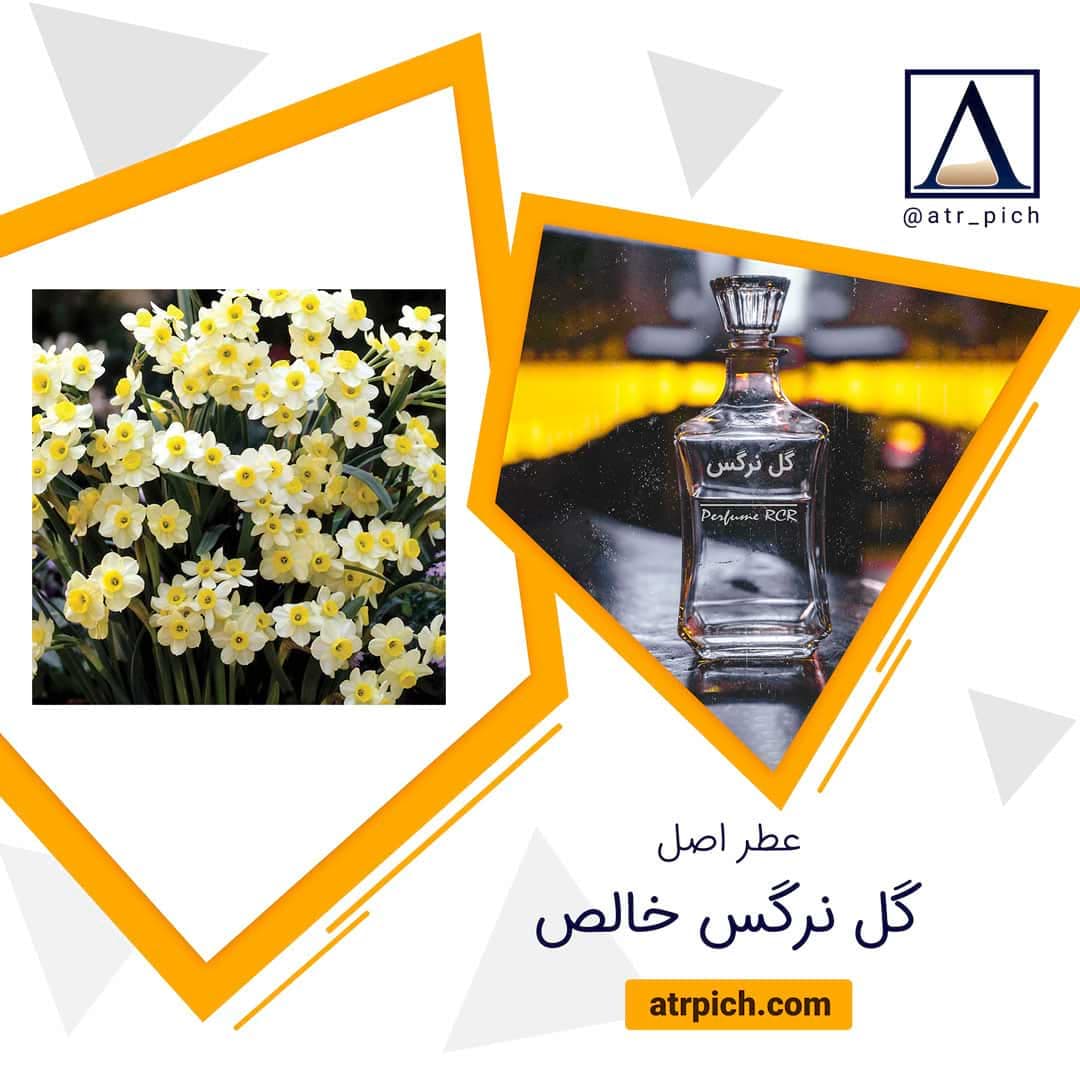 عطر گل نرگس خالص | بهترین کیفیت و — تصویر ۲
