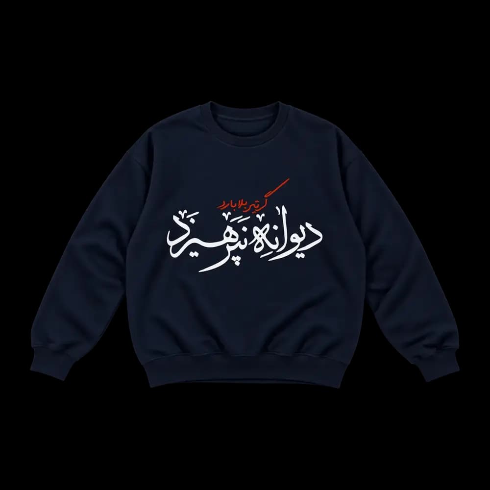 پلیور گر تیر بلا بارد دیوانه نپرهیزد — تصویر ۳