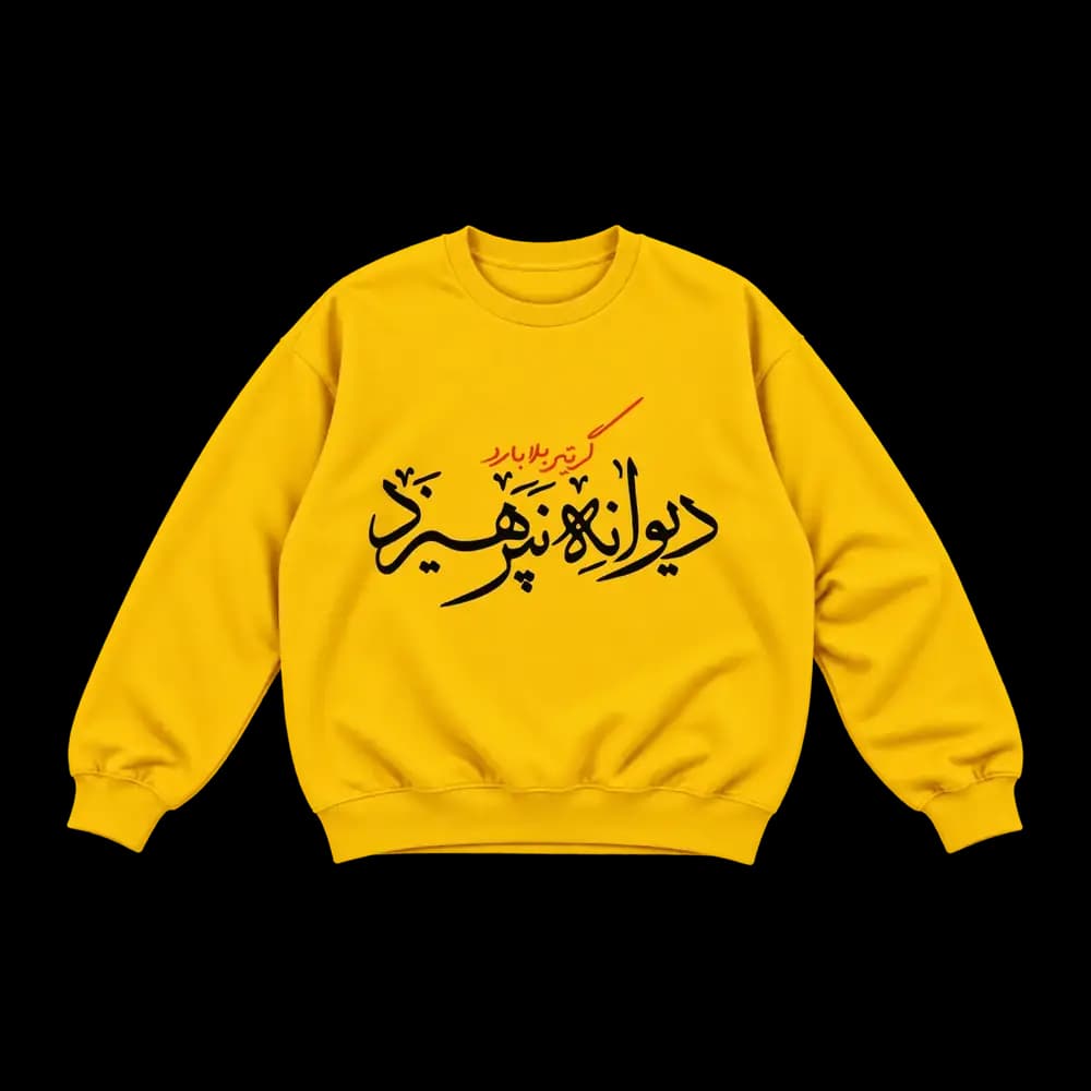 پلیور گر تیر بلا بارد دیوانه نپرهیزد — تصویر ۴