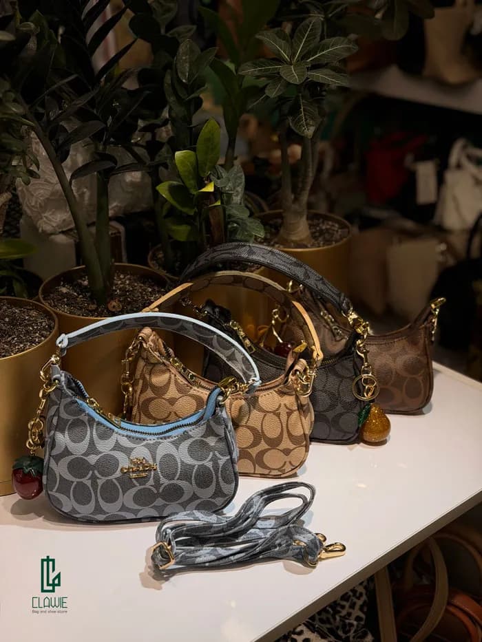 کیف زنانه.دخترانه : coach چرم