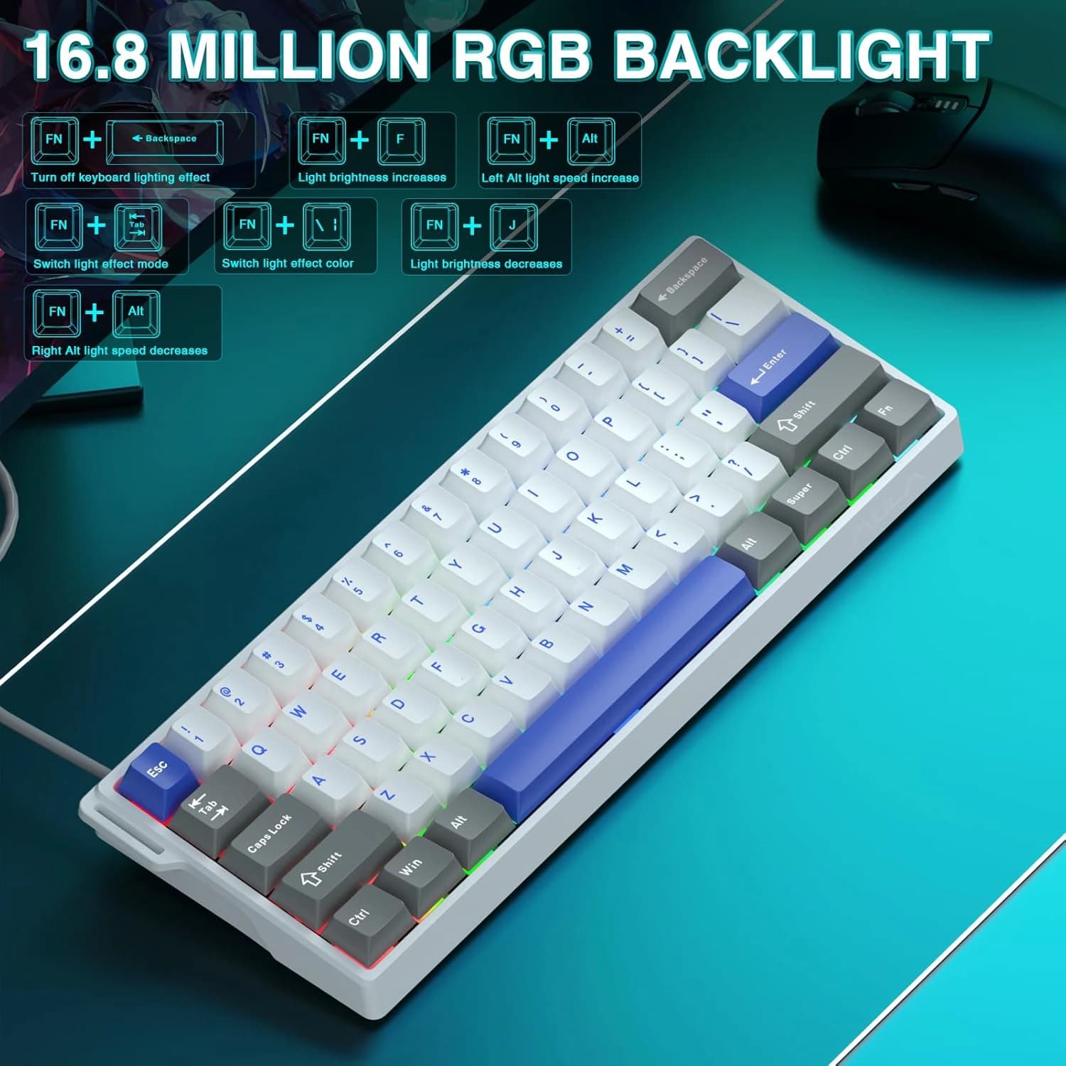 کیبورد سیم دار گیمینگ AULA WIN 60 HE MAX GREY+WHITE+BLUE WING CHUN MAGNETIC SWITCH — تصویر ۴