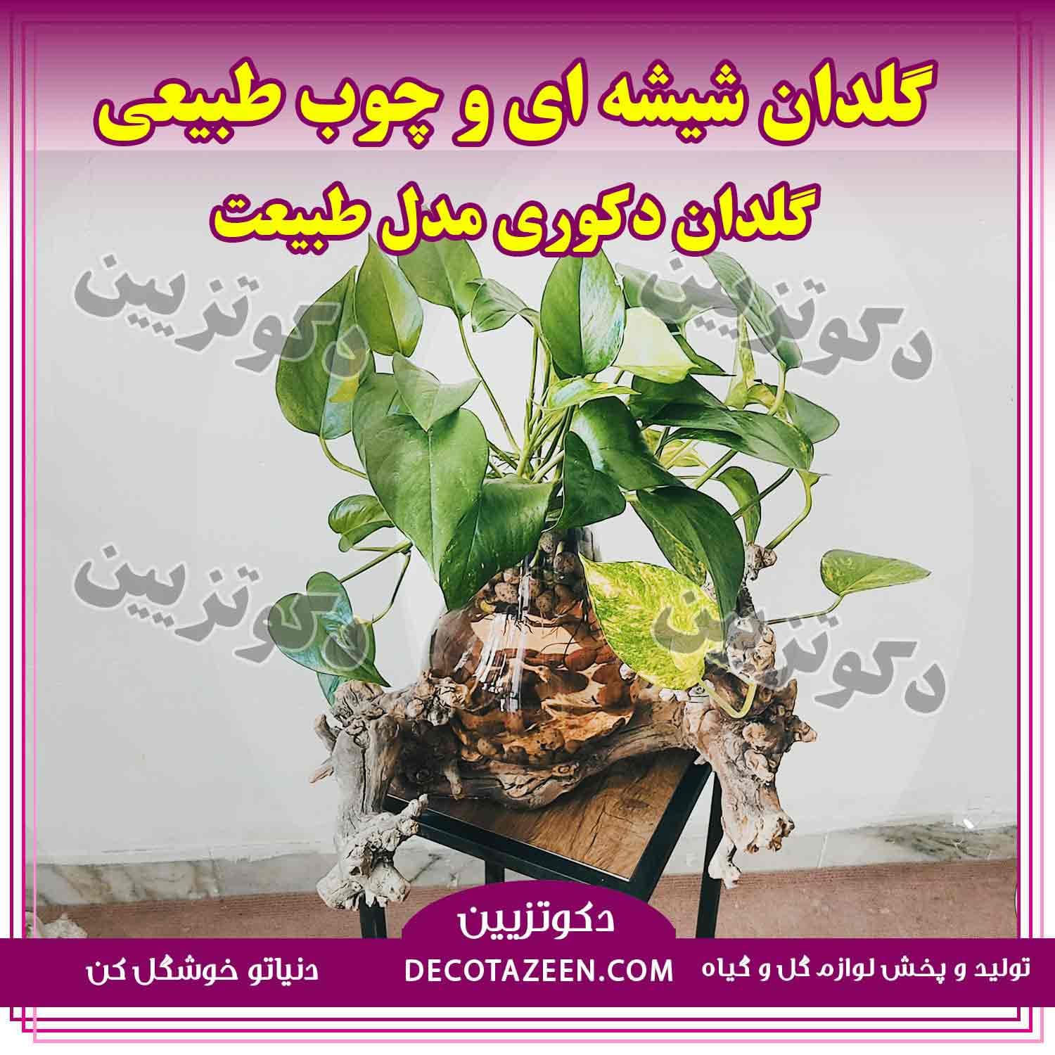 گلدان شیشه ای دکوری و چوب طبیعی مدل طبیعت سایز کوچک بخرید از کارخانه — تصویر ۴