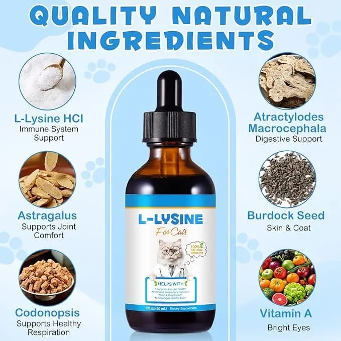 قطره ال-لیزین گربه اویمال – مکمل تقویت ایمنی و تنفس طبیعی | 60 میلیلیتر — تصویر ۲