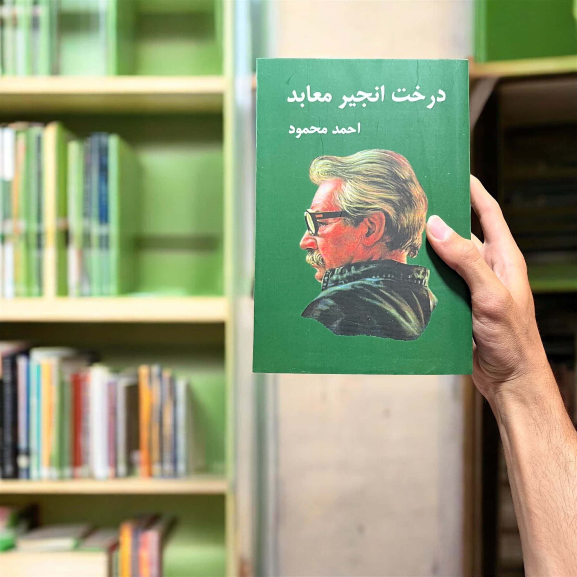 کتاب درخت انجیر معابد اثر احمد محمود از انتشارات معین(۲ جلدی) — تصویر ۵