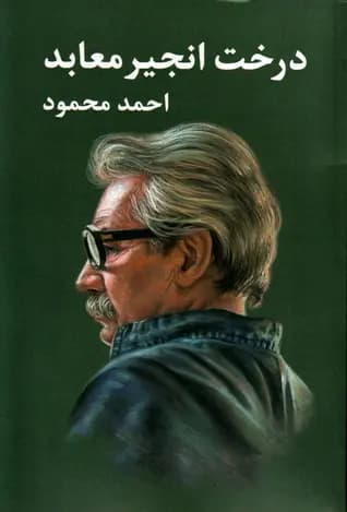 کتاب درخت انجیر معابد اثر احمد محمود از انتشارات معین(۲ جلدی)