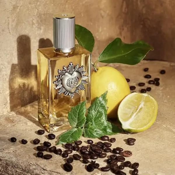 عطر مردانه دولچه گابانا دویوشن | Devotion Pour Homme — تصویر ۶